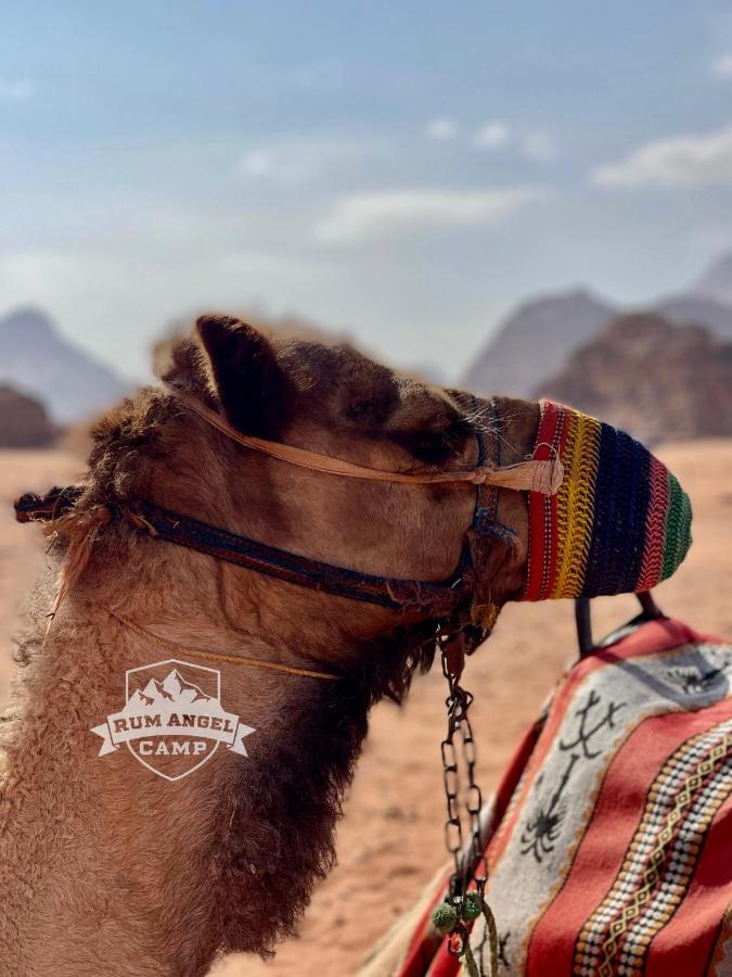 Rum Angel Camp Wadi Rum Esterno foto