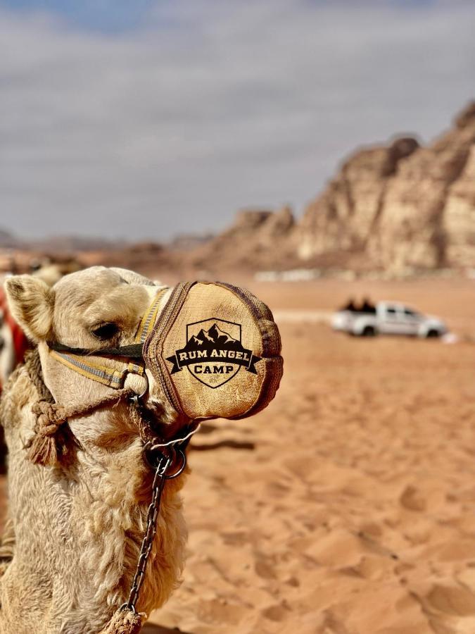 Rum Angel Camp Wadi Rum Esterno foto